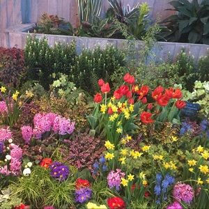 Meet your Posher, Chi